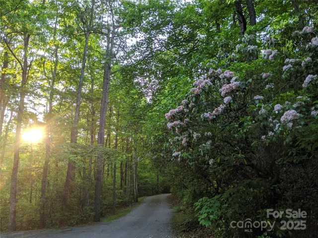 a view of street view