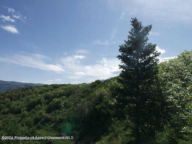 0 Rabbit Way Snowmass, CO 81654 - Photo 12 of 23 a view of a city with lush green forest
