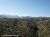 0 Rabbit Way Snowmass, CO 81654 - Photo 16 of 23 a view of a city with lush green forest