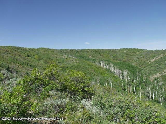 0 Rabbit Way Snowmass, CO 81654 - Photo 9 of 23 a view of an green field and mountain