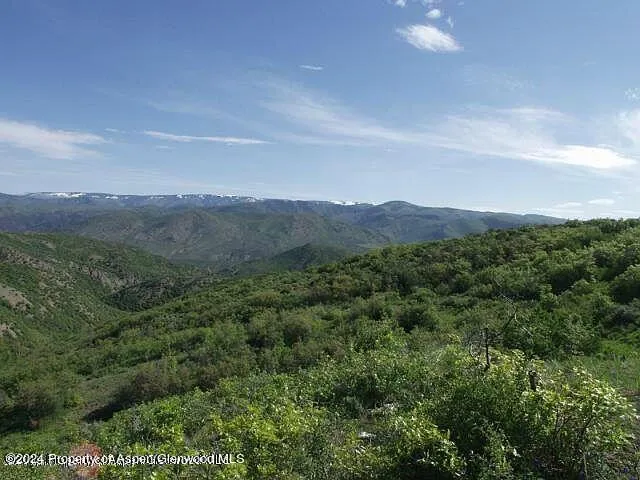a view of a lush green field with mountains in the background
