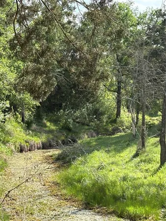 $150,000 | Tbd Whitetail Spgs Lane, Gustine, TX 76455
