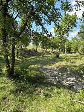 $150,000 | Tbd Whitetail Spgs Lane, Gustine, TX 76455