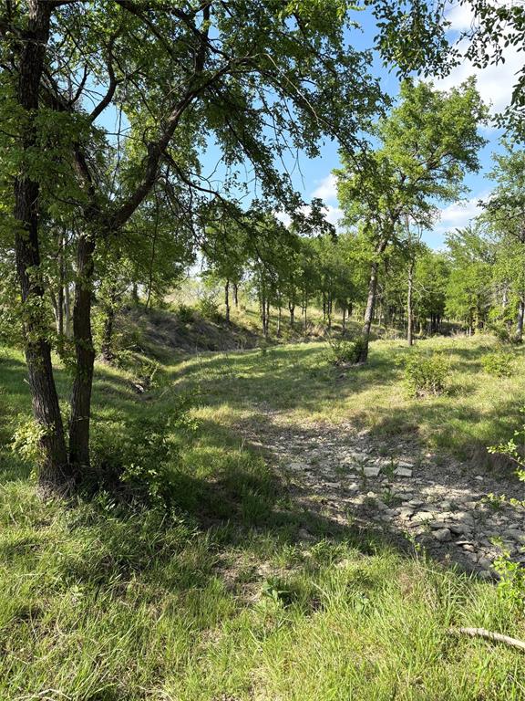 Tbd Whitetail Spgs Lane Gustine, TX 76455 - Photo 4 of 17 a view of a yard with a tree