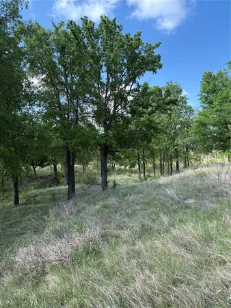 $150,000 | Tbd Whitetail Spgs Lane, Gustine, TX 76455