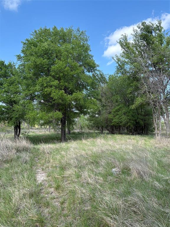 Tbd Whitetail Spgs Lane Gustine, TX 76455 - Photo 6 of 17 a view of a yard with a tree