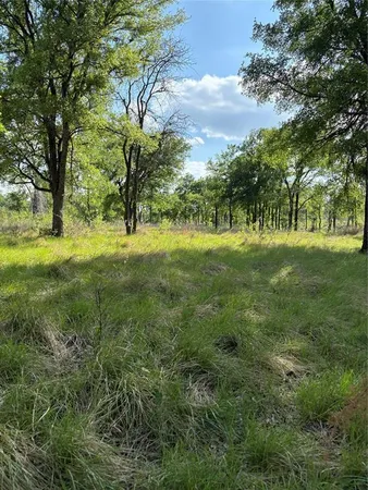 $150,000 | Tbd Whitetail Spgs Lane, Gustine, TX 76455