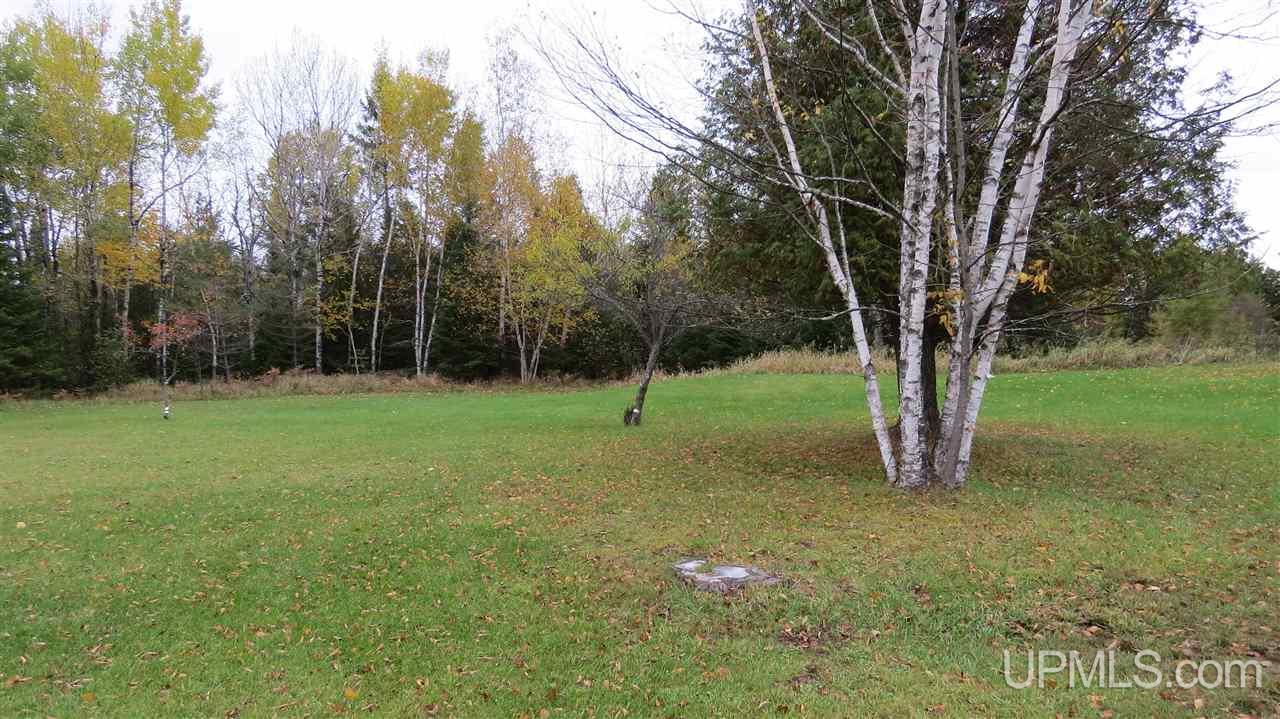 2992 Co Road Cornell, MI 49818 - Photo 18 of 24