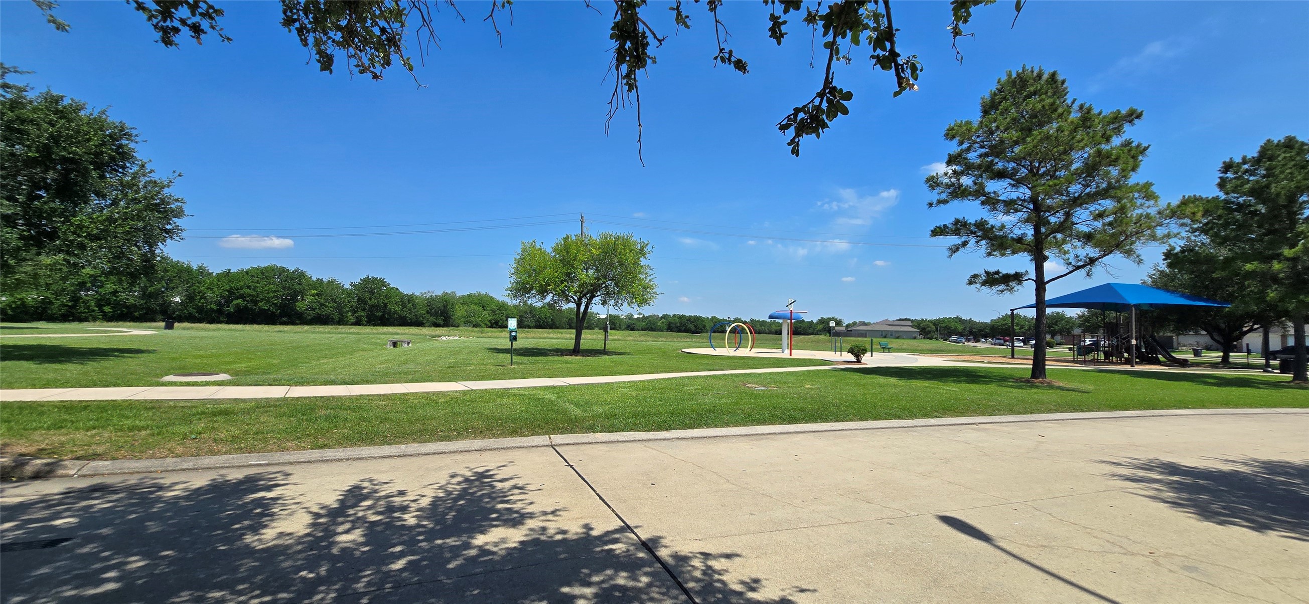 13115 Ridgewood Knoll Lane Houston, TX 77047 - Photo 45 of 46