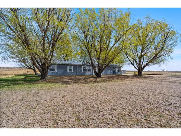 a view of a yard with a tree