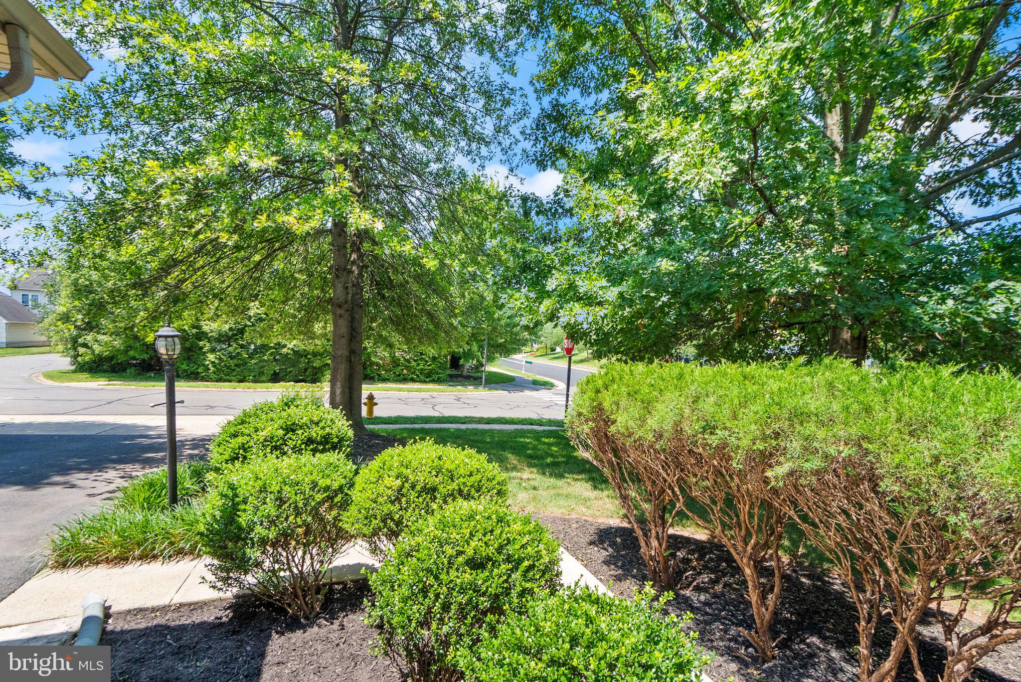 6901 Bitterroot Court Gainesville, VA 20155 - Photo 9 of 98 a view of a garden with plants