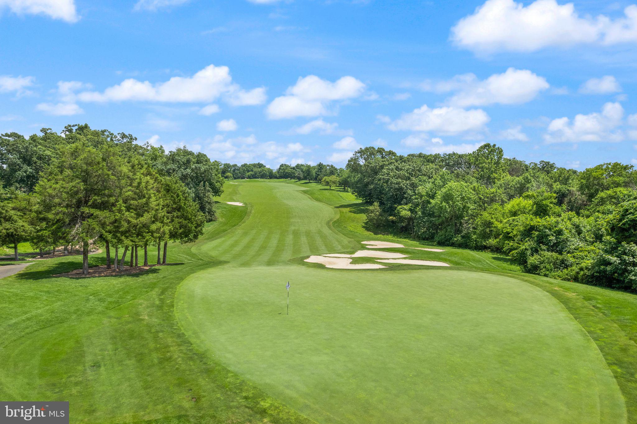 6901 Bitterroot Court Gainesville, VA 20155 - Photo 92 of 98
