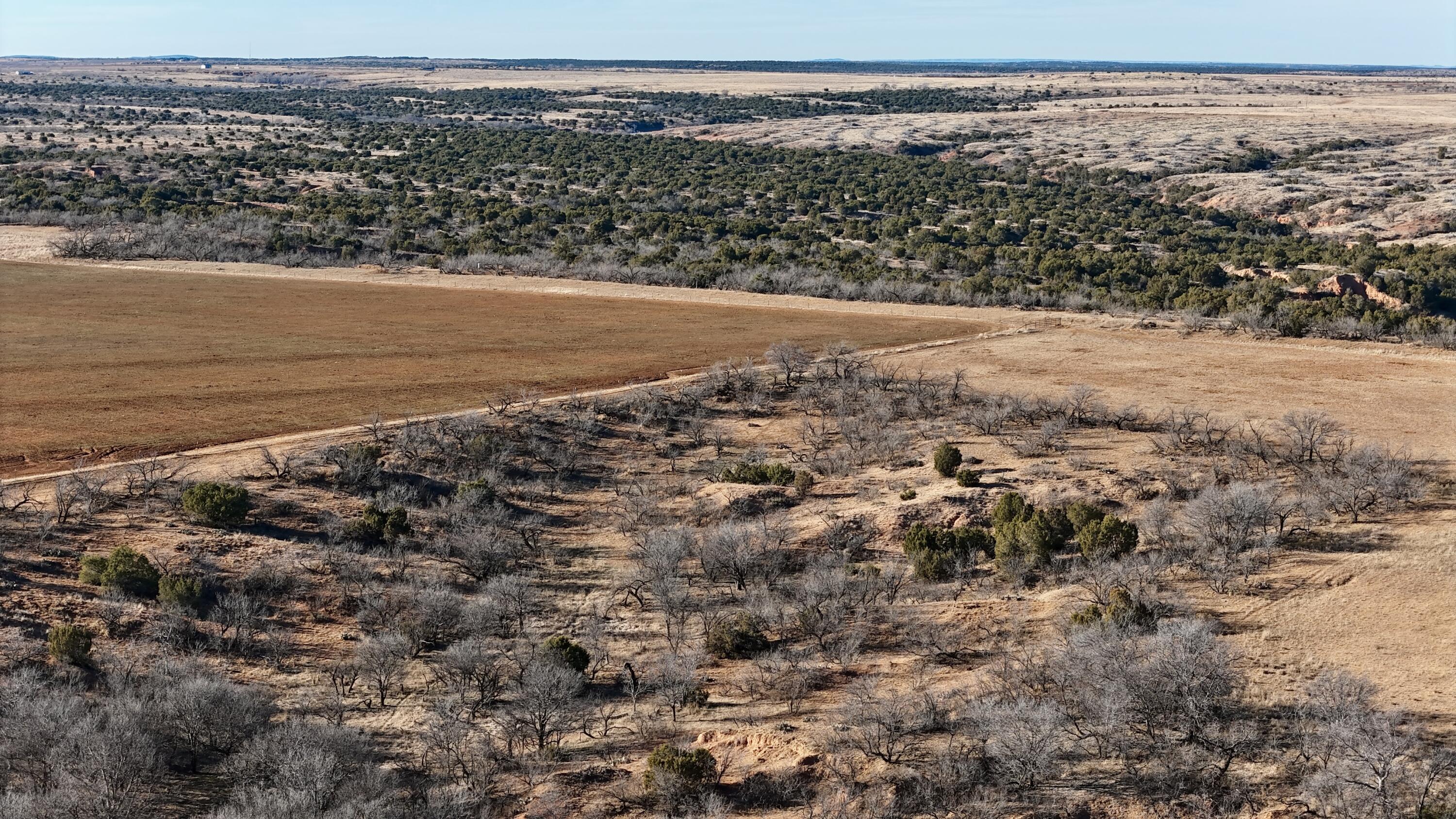 DJI_20260211163312_0007_D