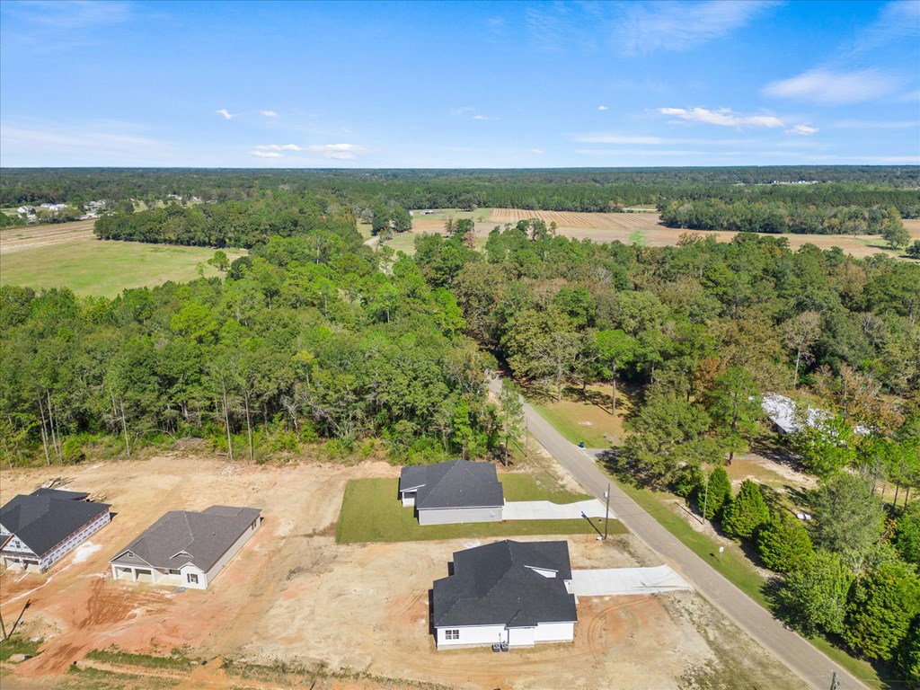 992 Helms Road Dothan, AL 36301 - Photo 54 of 62
