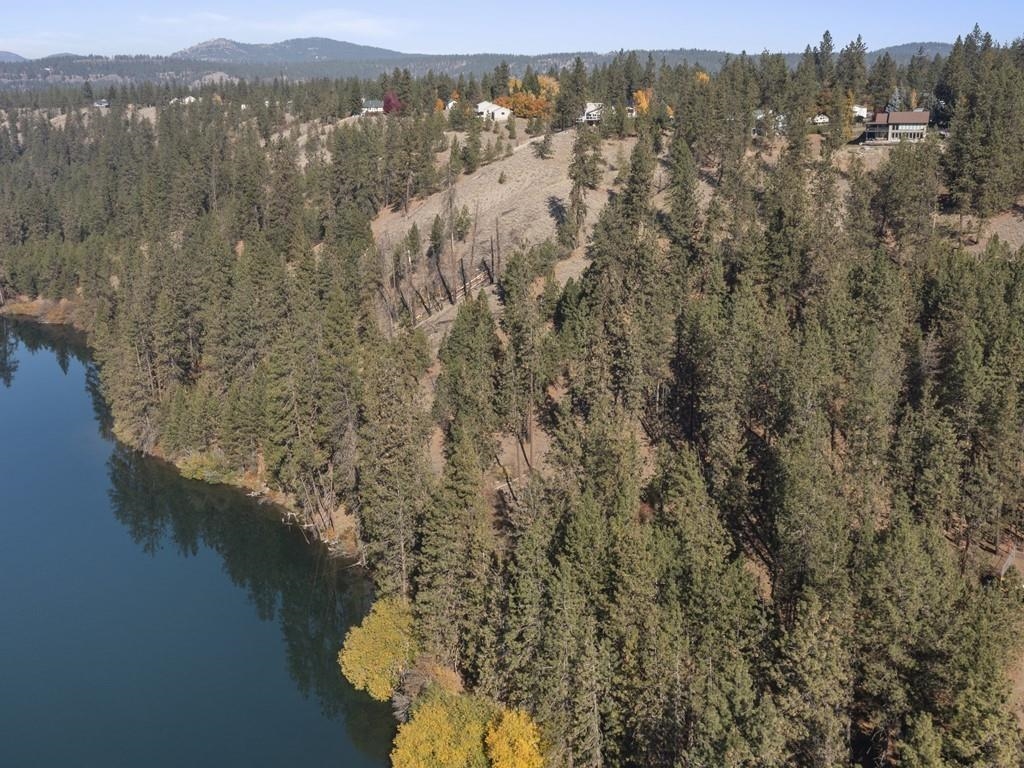 Nine West Shore Road Nine Mile Falls, WA 99026 - Photo 5 of 18