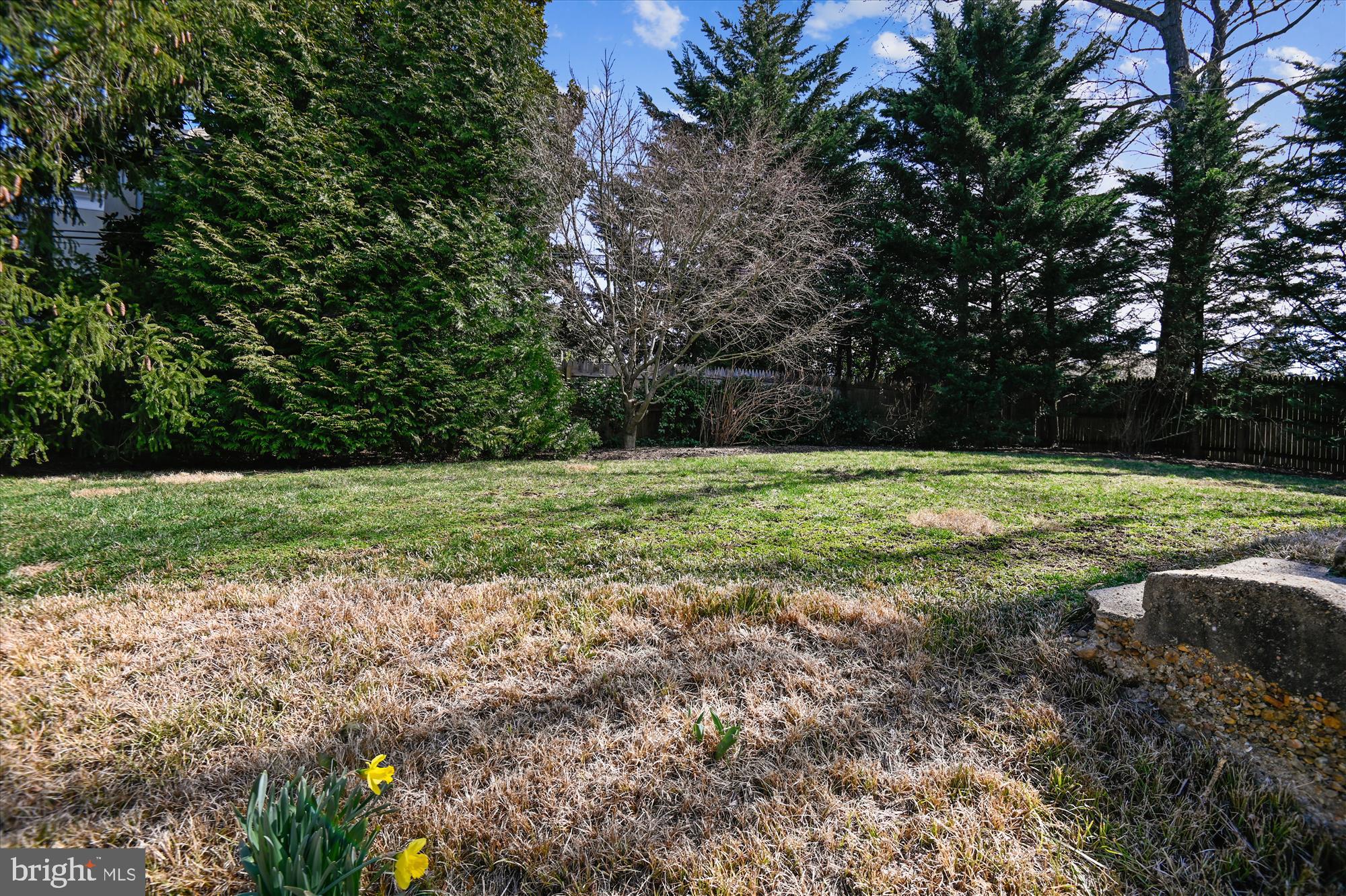 4309 Rugby Road Baltimore, MD 21210 - Photo 45 of 51