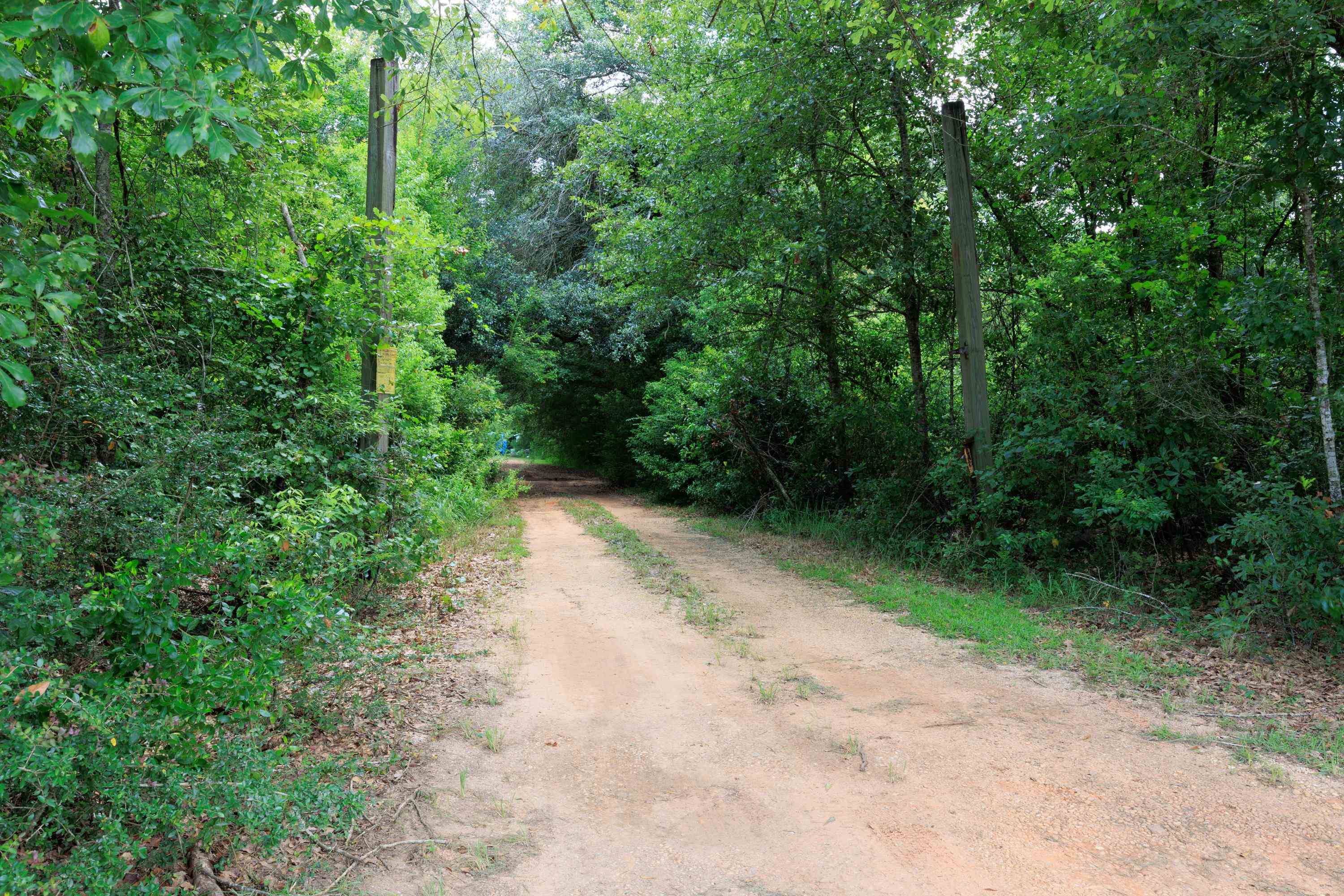 17385 County Road 16 Foley, AL 36535 - Photo 18 of 53 Community