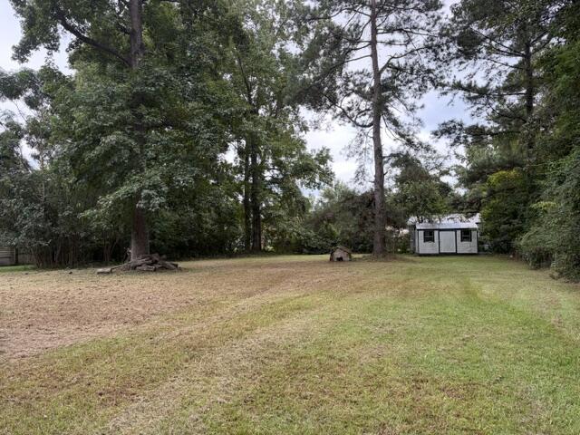 111 Kitfield Road Moncks Corner, SC 29461 - Photo 5 of 5 IMG_1868