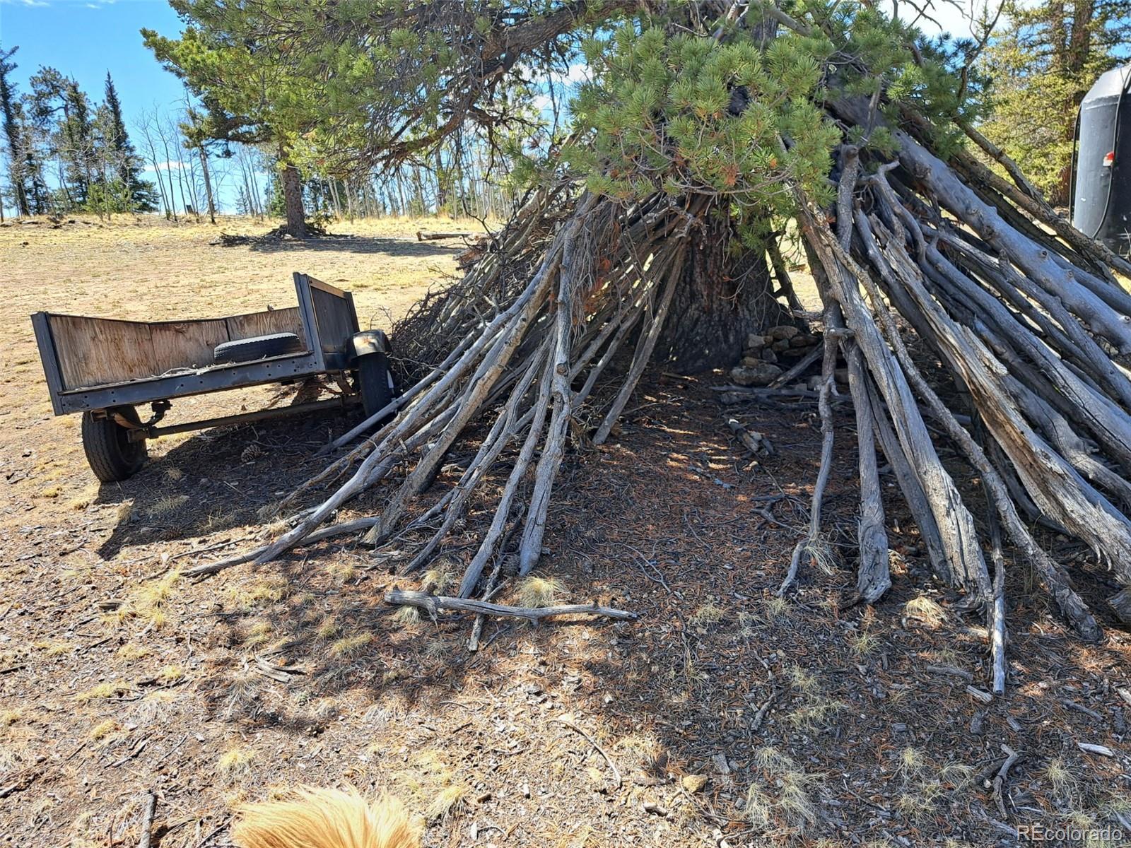 730 Tepee Trail Como, CO 80456 - Photo 27 of 29