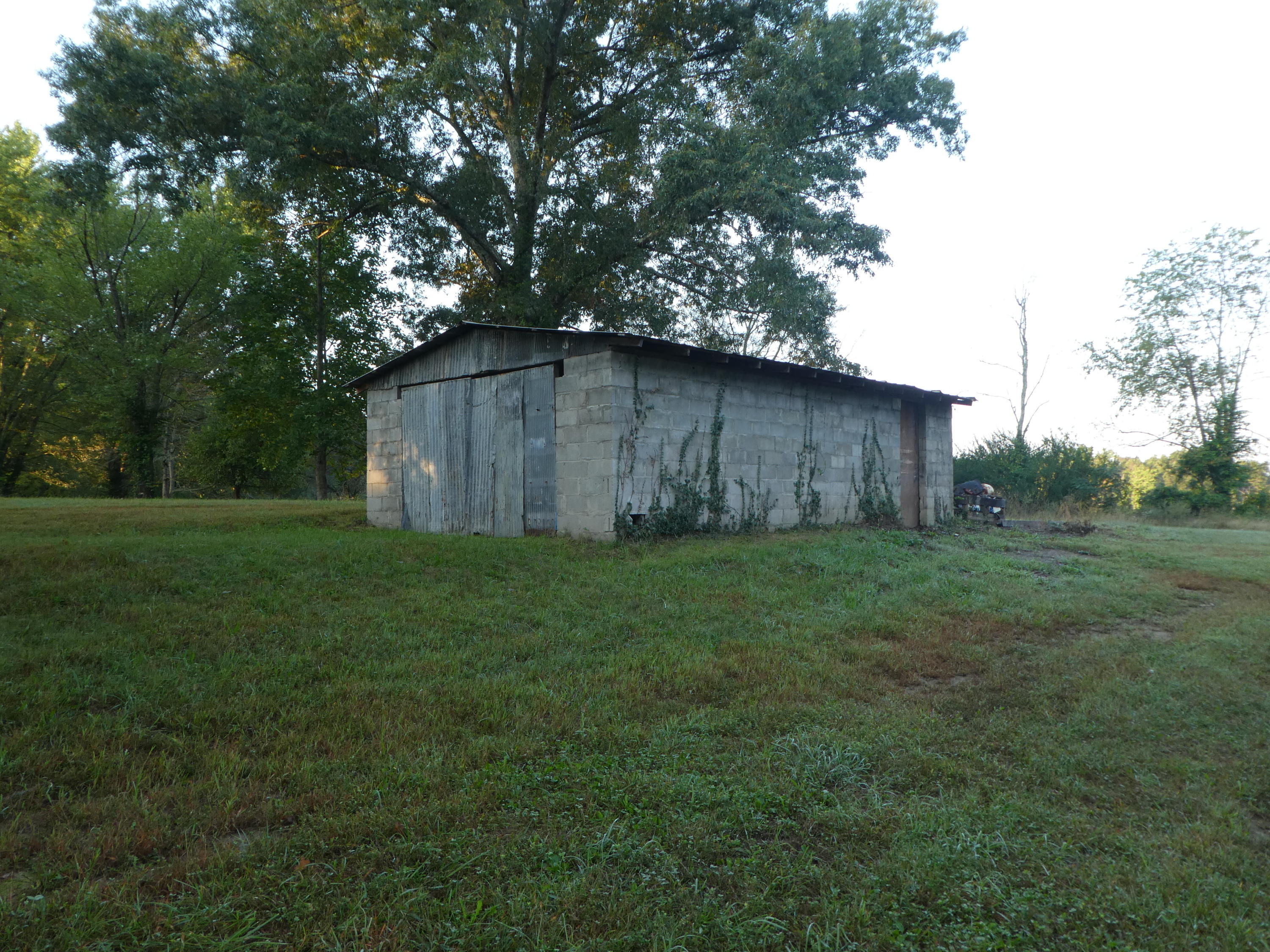 331 Colditz Road Jamestown, TN 38556 - Photo 3 of 11 P1010951
