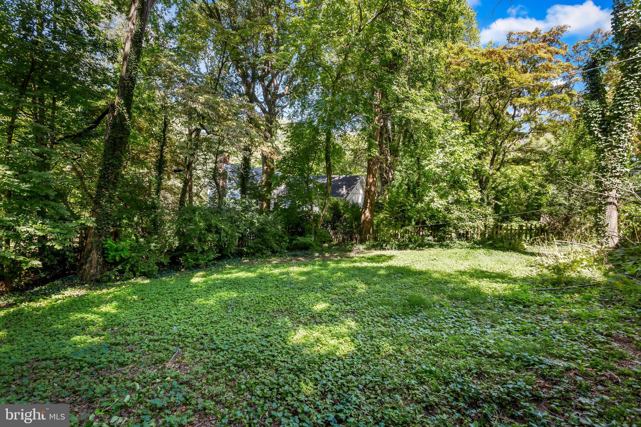 14 Midvale Road Baltimore, MD 21210 - Photo 66 of 91 Back yard