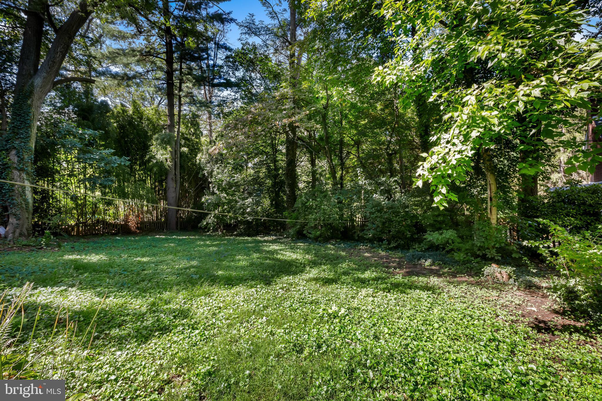 14 Midvale Road Baltimore, MD 21210 - Photo 67 of 91 Back yard