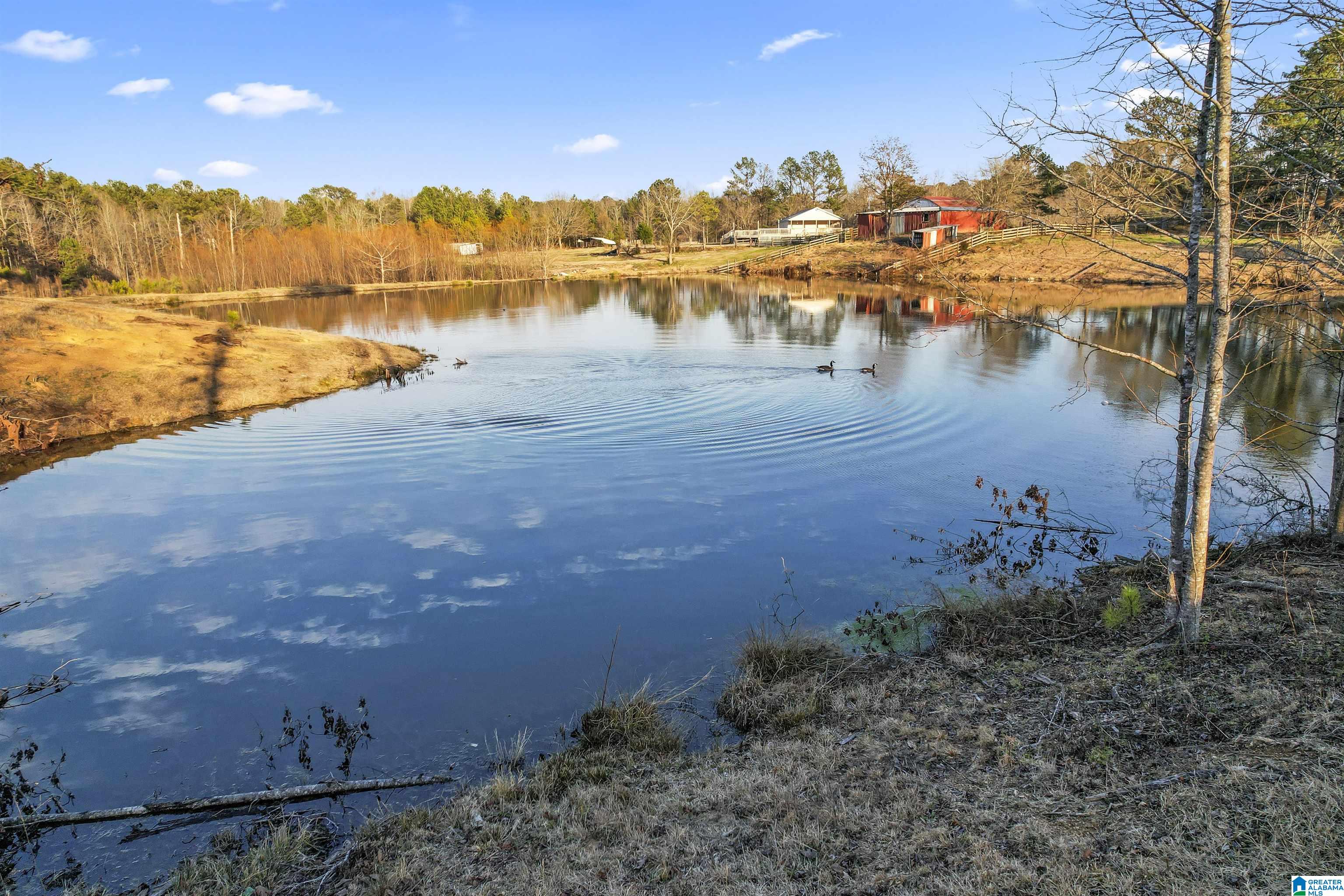 7080 Parsons Lake Road Adger, AL 35006 - Photo 45 of 59