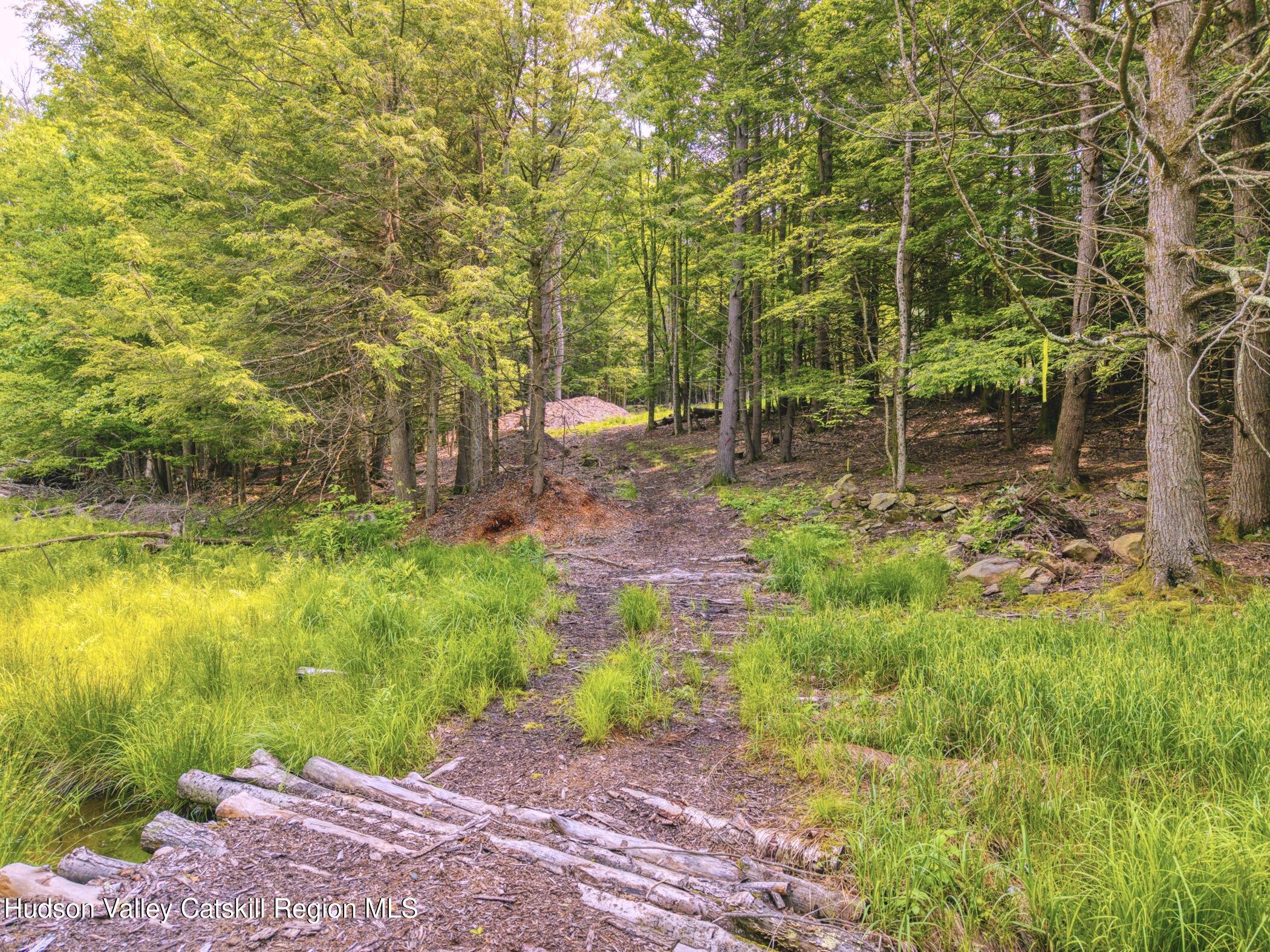 Tbd Boulder Brook Road Windham, NY 12496 - Photo 13 of 78 a backyard of a house with a yard and outdoor seating