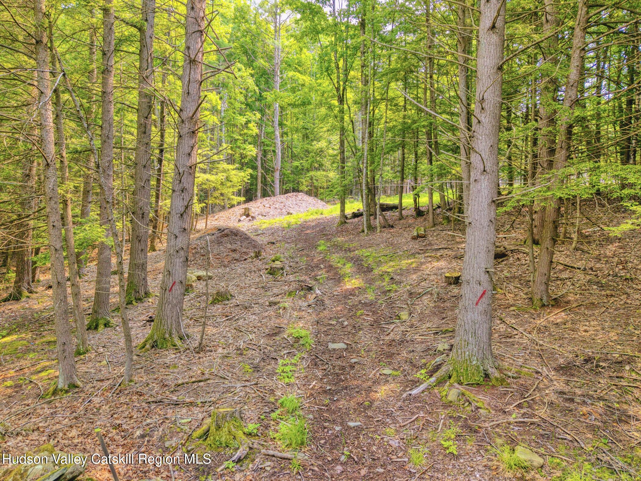 Tbd Boulder Brook Road Windham, NY 12496 - Photo 14 of 78 a view of a yard with plants and wooden fence