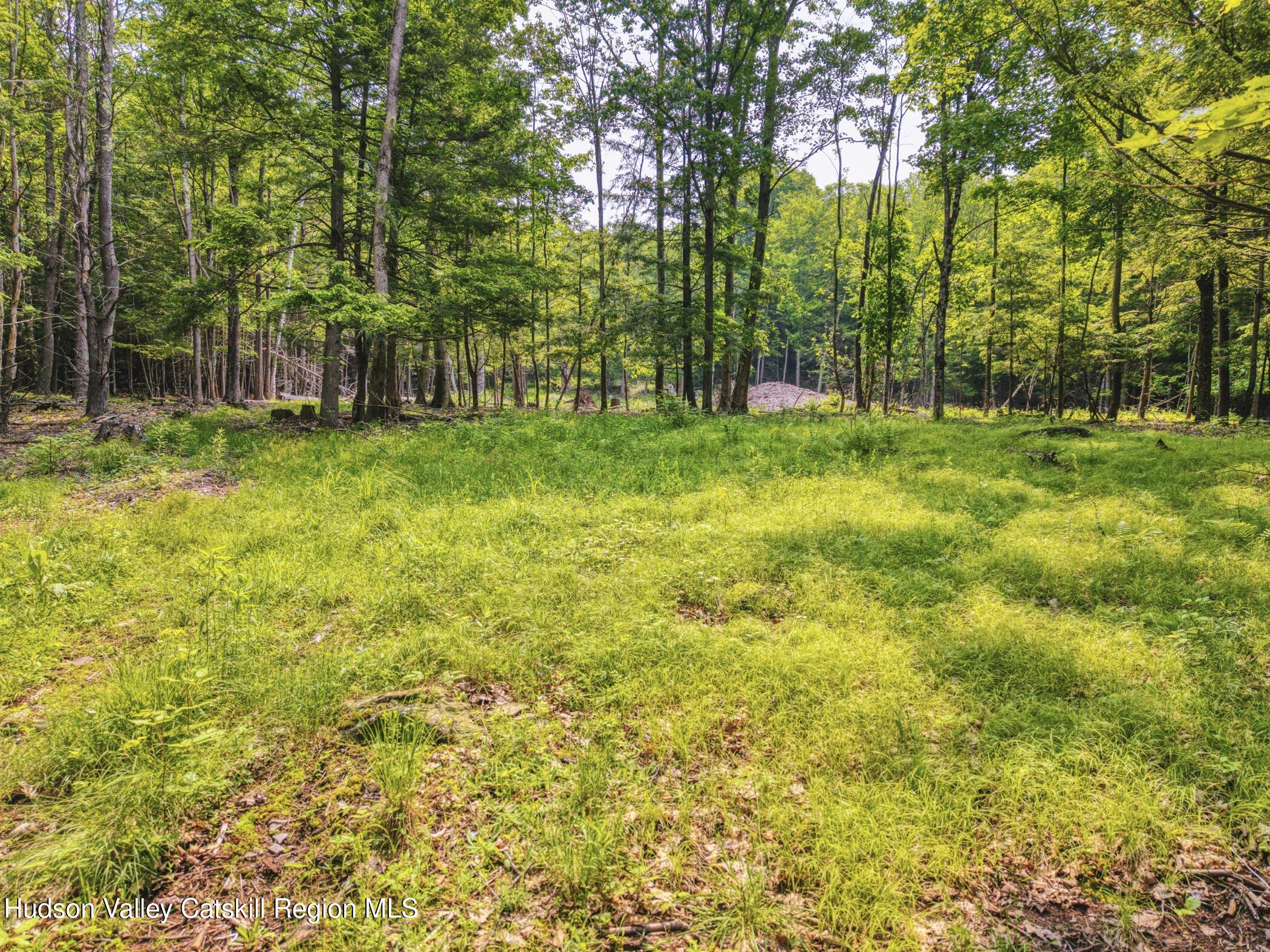 Tbd Boulder Brook Road Windham, NY 12496 - Photo 16 of 78 a view of a yard with plants and trees