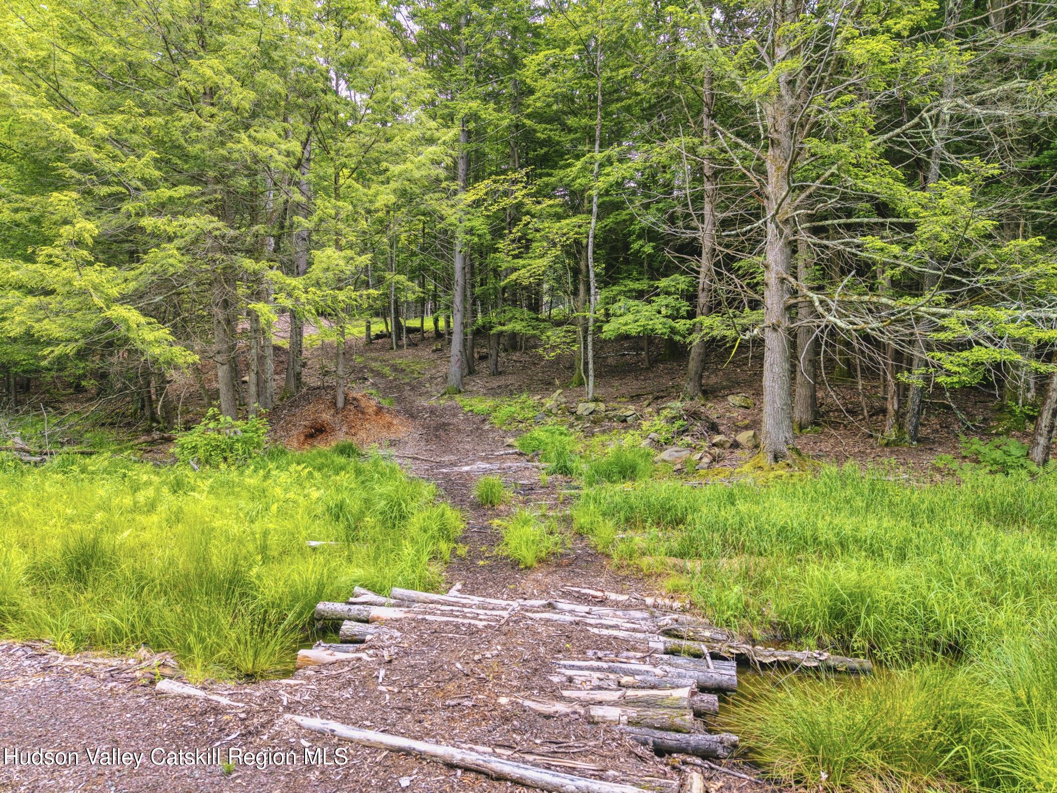 Tbd Boulder Brook Road Windham, NY 12496 - Photo 20 of 78 a backyard of a house with lots of green space