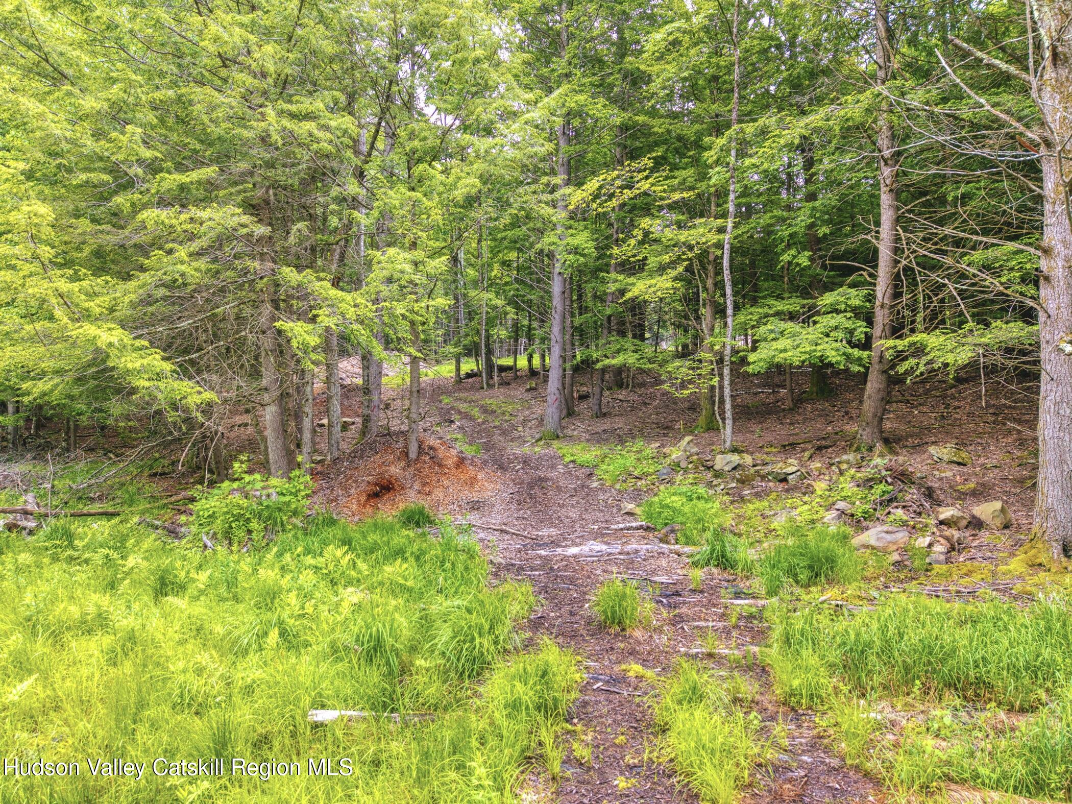 Tbd Boulder Brook Road Windham, NY 12496 - Photo 21 of 78 a backyard of a house with lots of green space and plants