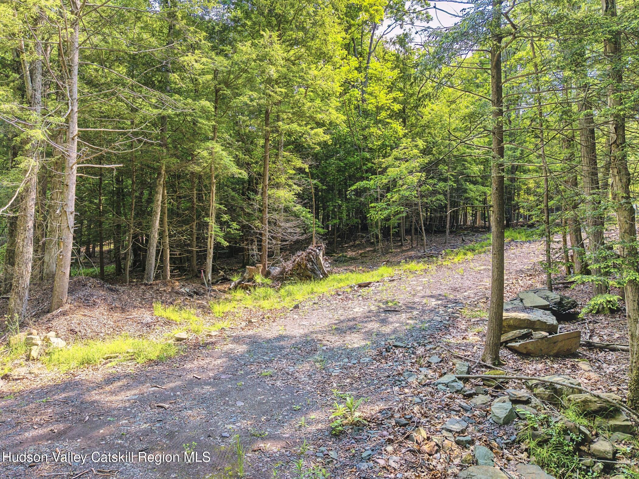 Tbd Boulder Brook Road Windham, NY 12496 - Photo 26 of 78 a view of a house with swimming pool and sitting area