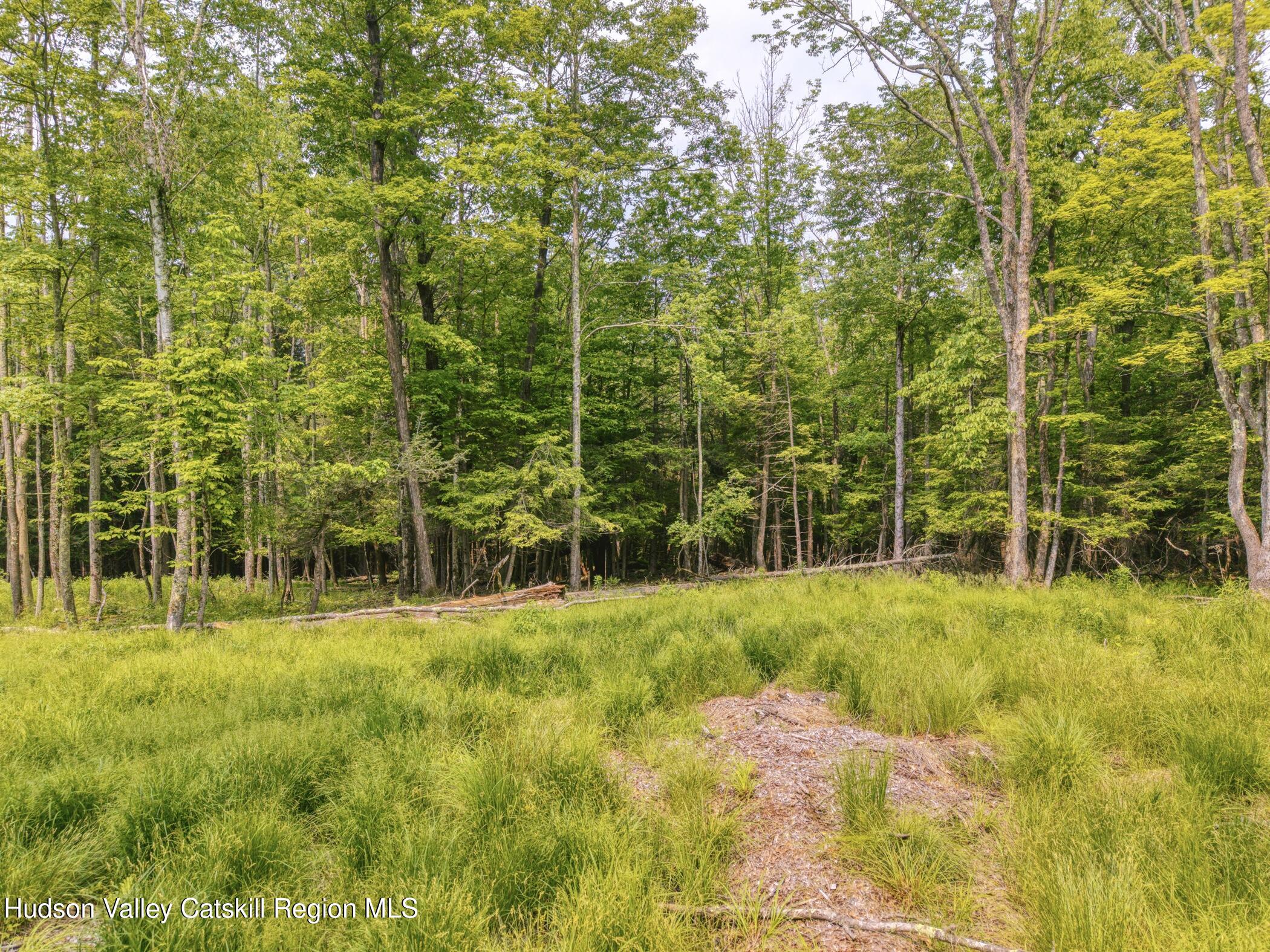 Tbd Boulder Brook Road Windham, NY 12496 - Photo 33 of 78 Image-71