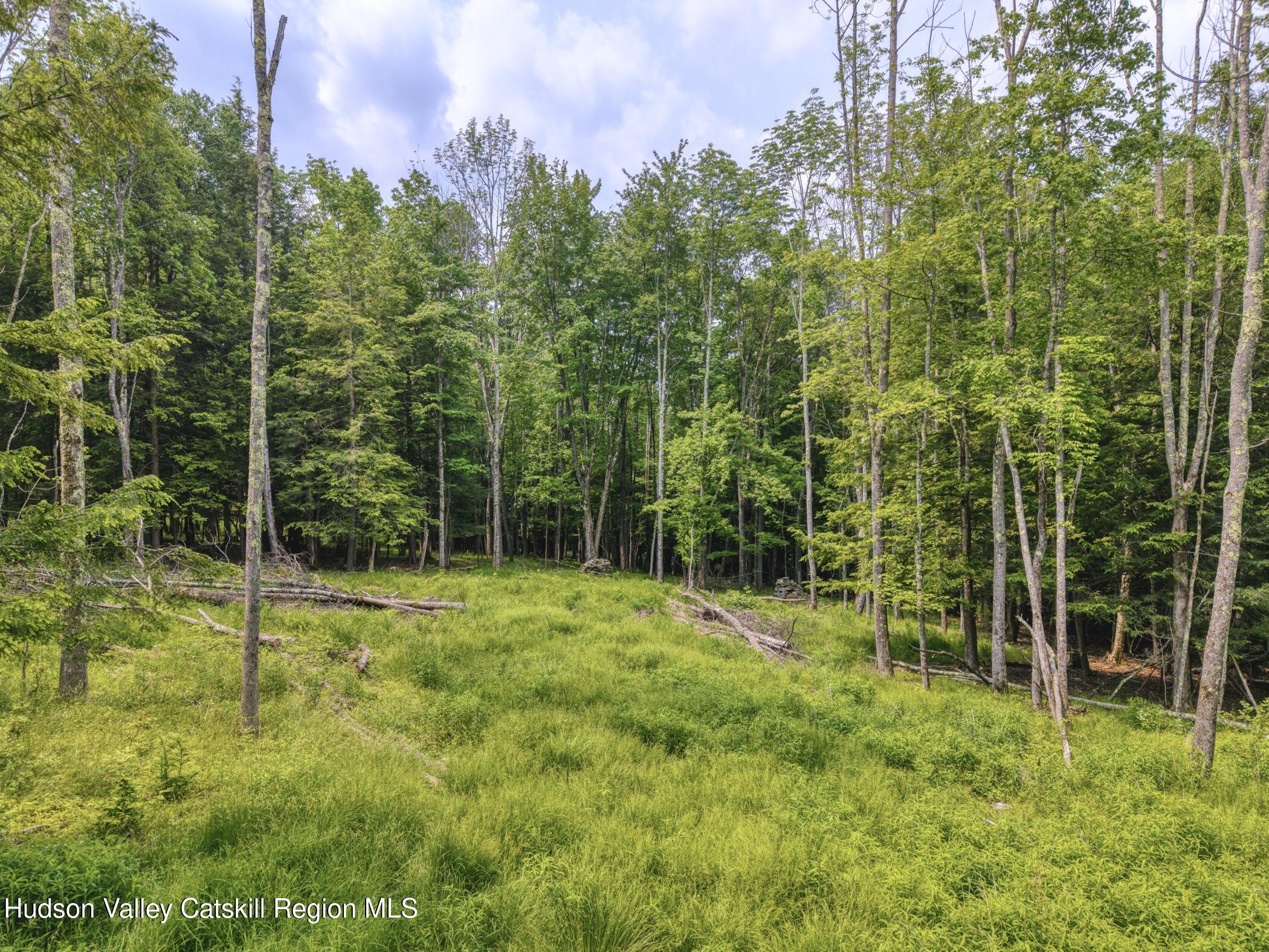 Tbd Boulder Brook Road Windham, NY 12496 - Photo 35 of 78 a view of outdoor space and garden