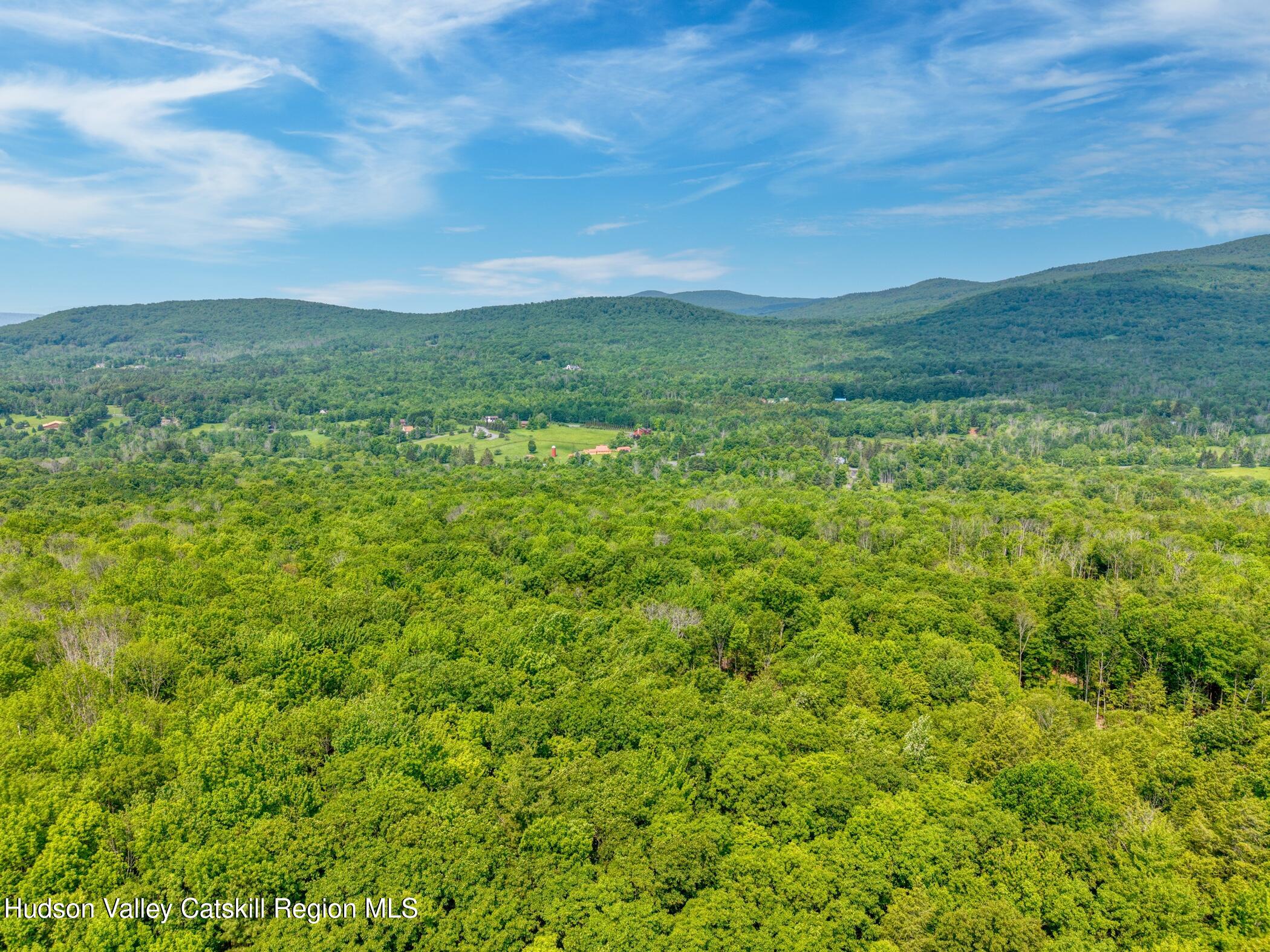 Tbd Boulder Brook Road Windham, NY 12496 - Photo 41 of 78 a view of a big yard with plants and large trees