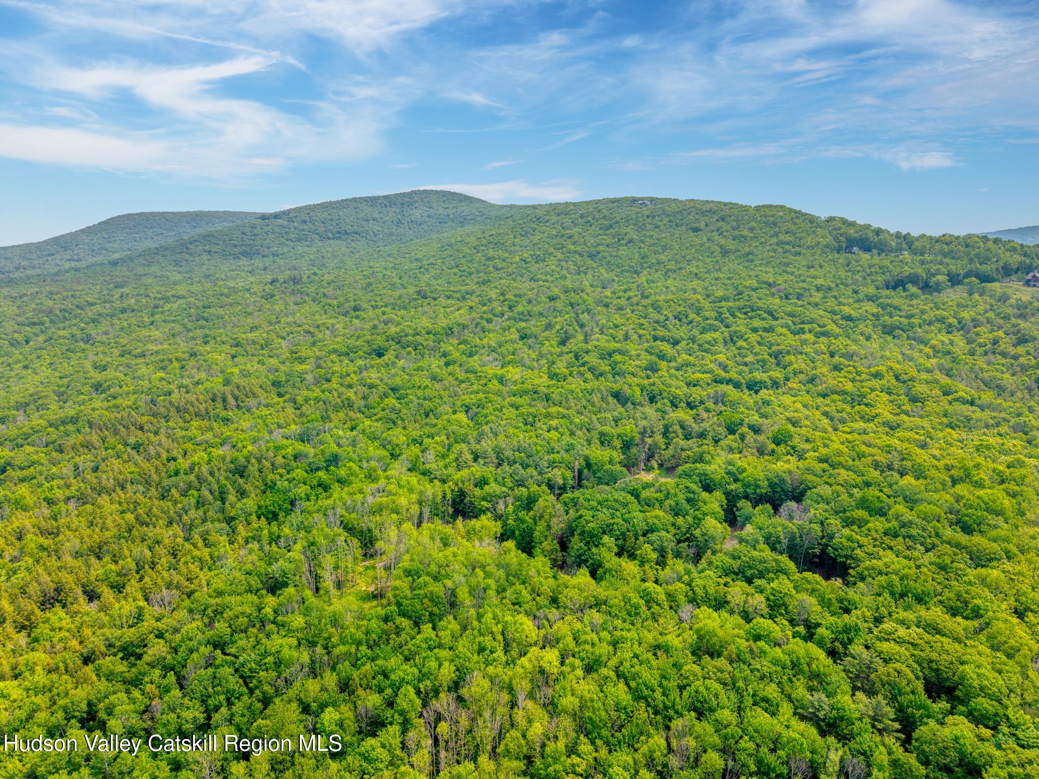 Tbd Boulder Brook Road Windham, NY 12496 - Photo 50 of 78 Image-34