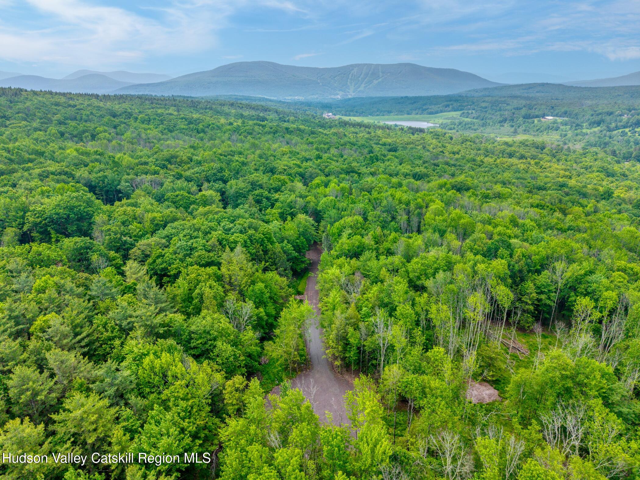 Tbd Boulder Brook Road Windham, NY 12496 - Photo 54 of 78 a view of a lush green forest with a mountain