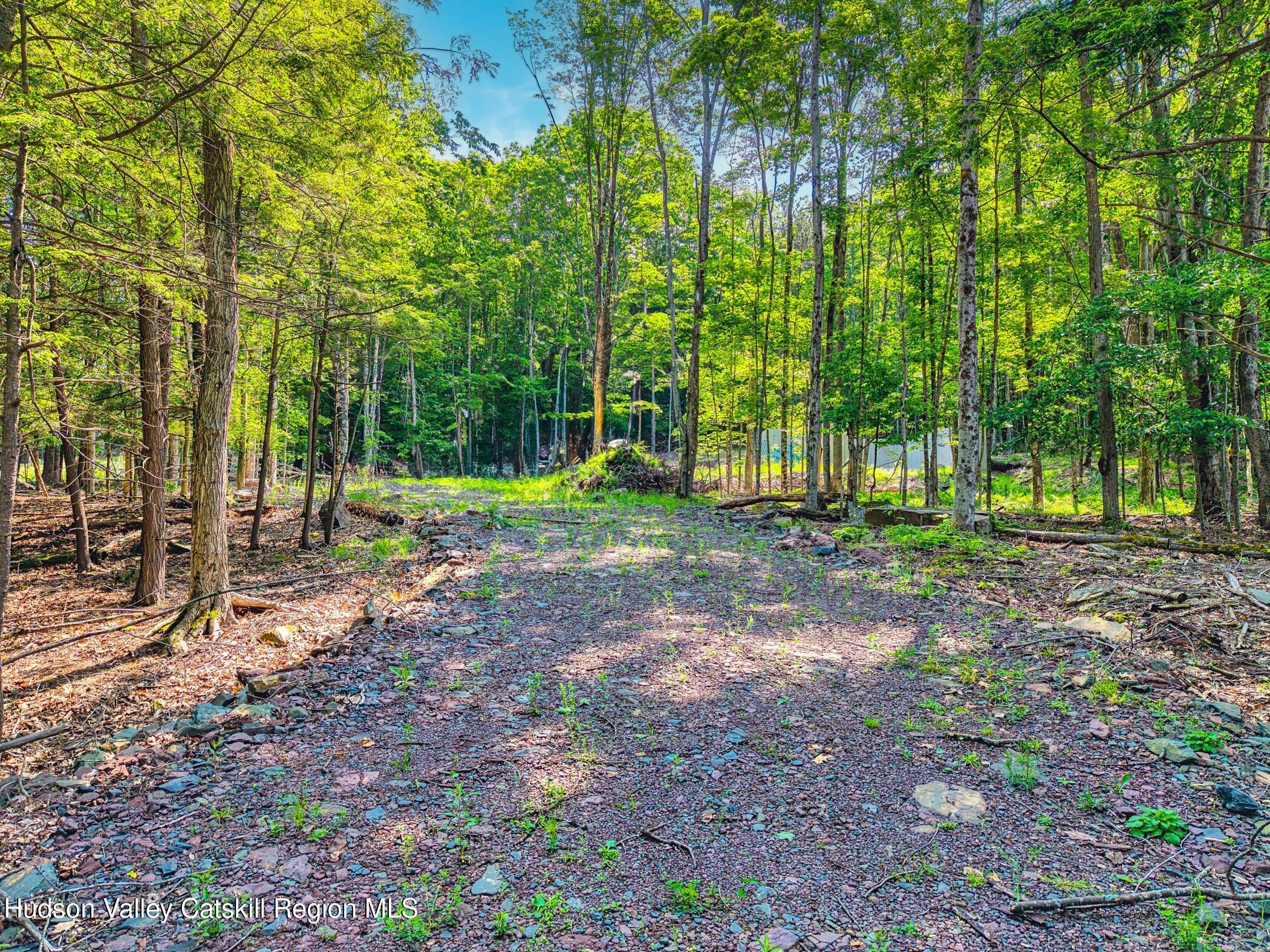 Tbd Boulder Brook Road Windham, NY 12496 - Photo 6 of 78 a view of outdoor space with trees