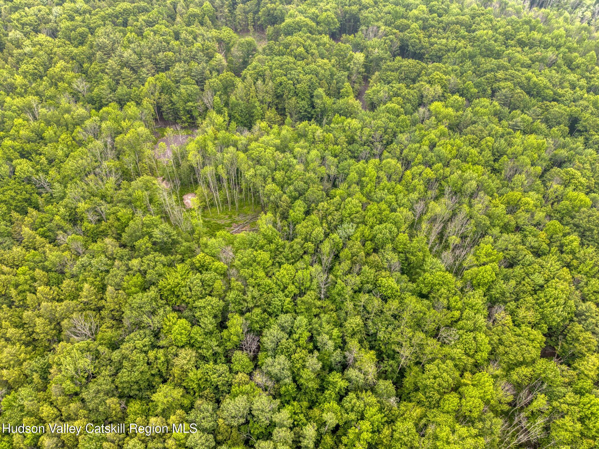 Tbd Boulder Brook Road Windham, NY 12496 - Photo 61 of 78 a view of a lush green field