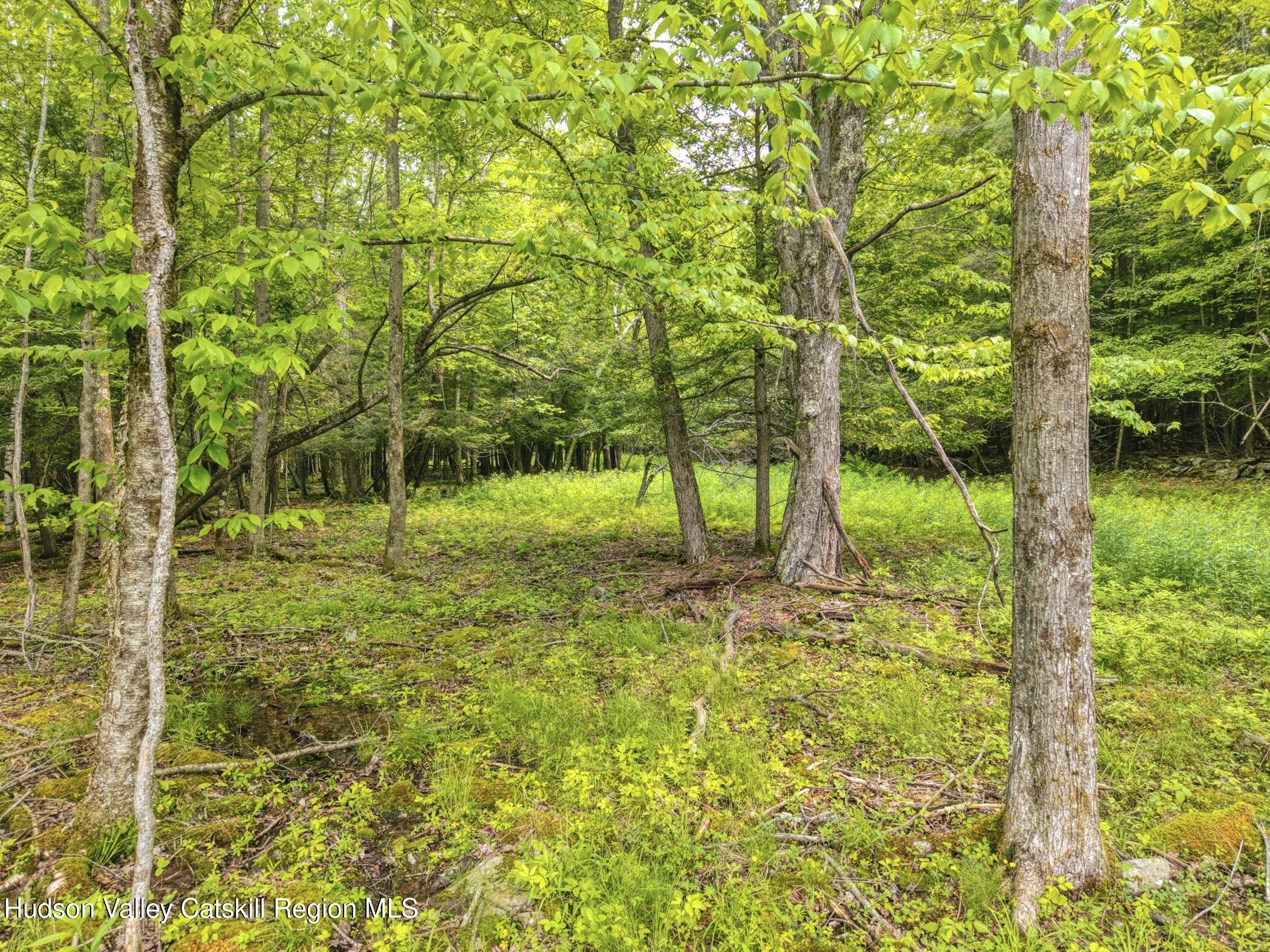 Tbd Boulder Brook Road Windham, NY 12496 - Photo 66 of 78 Image-55