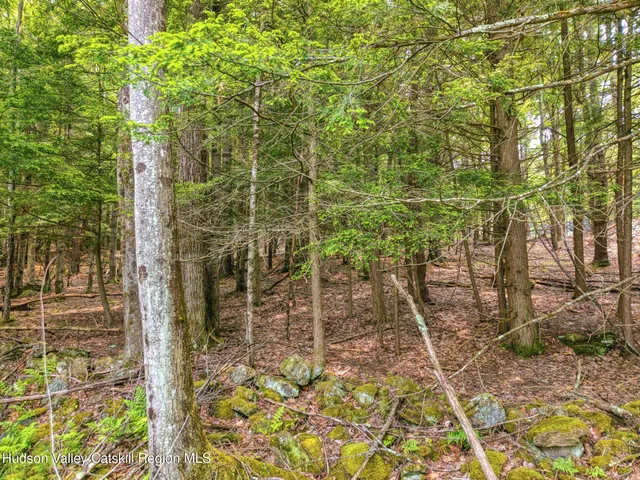 $899,900 | Tbd Boulder Brook Road, Windham, NY 12496