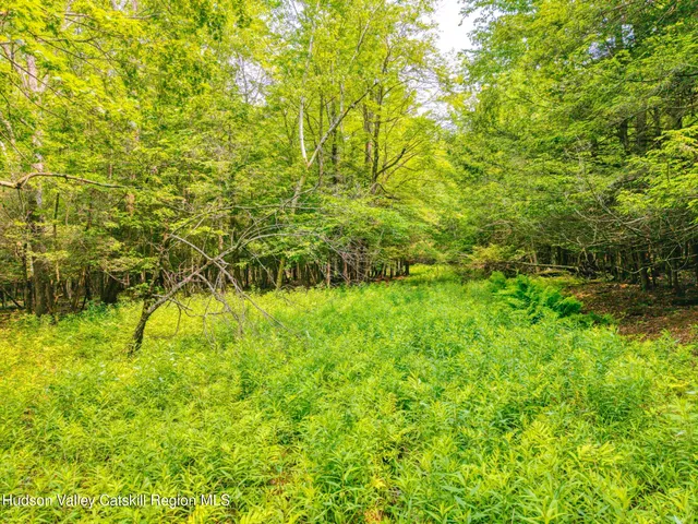 $899,900 | Tbd Boulder Brook Road, Windham, NY 12496