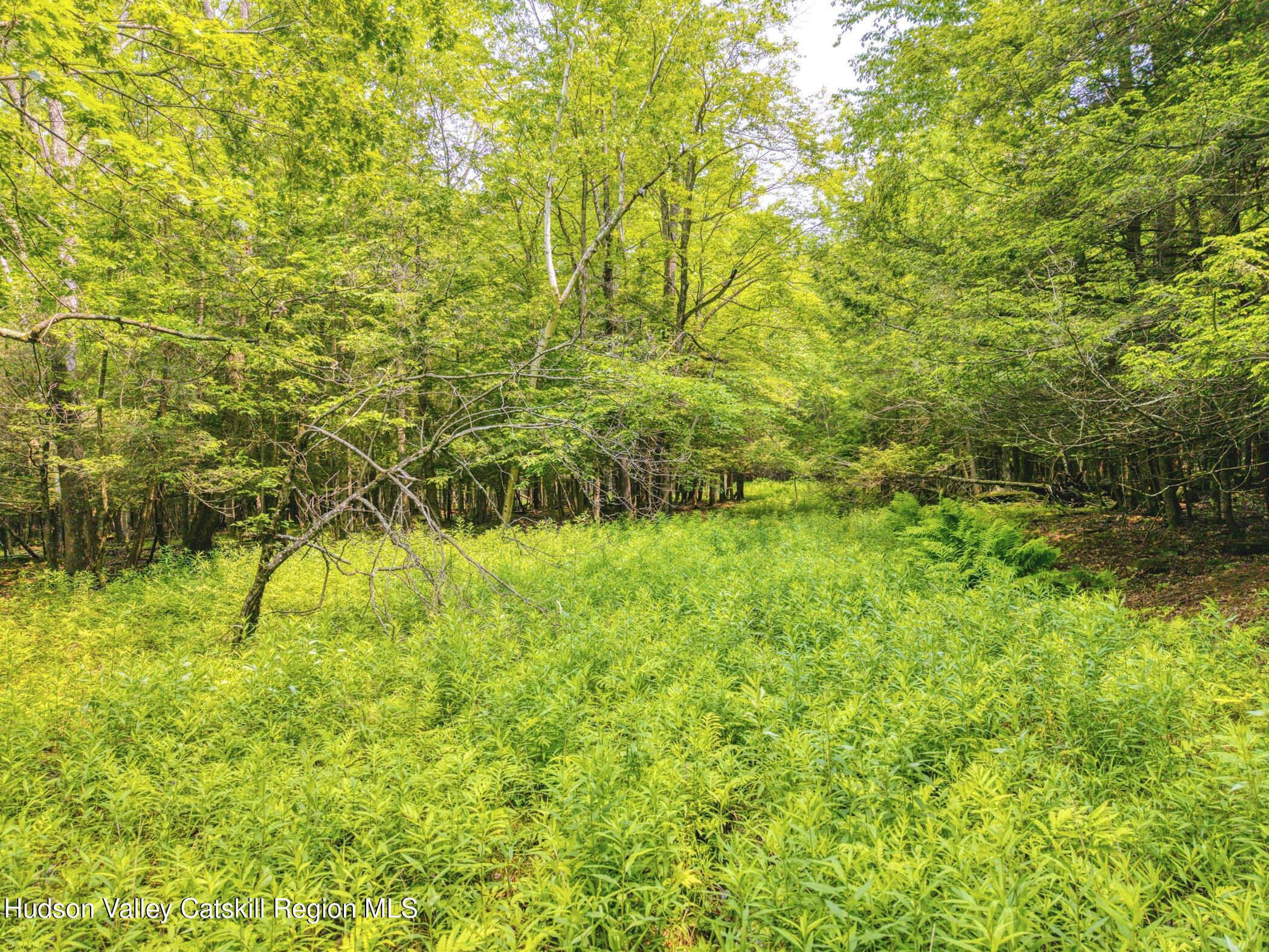 Tbd Boulder Brook Road Windham, NY 12496 - Photo 71 of 78 Image-58