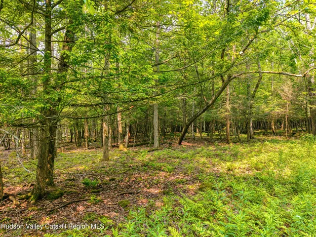 $899,900 | Tbd Boulder Brook Road, Windham, NY 12496