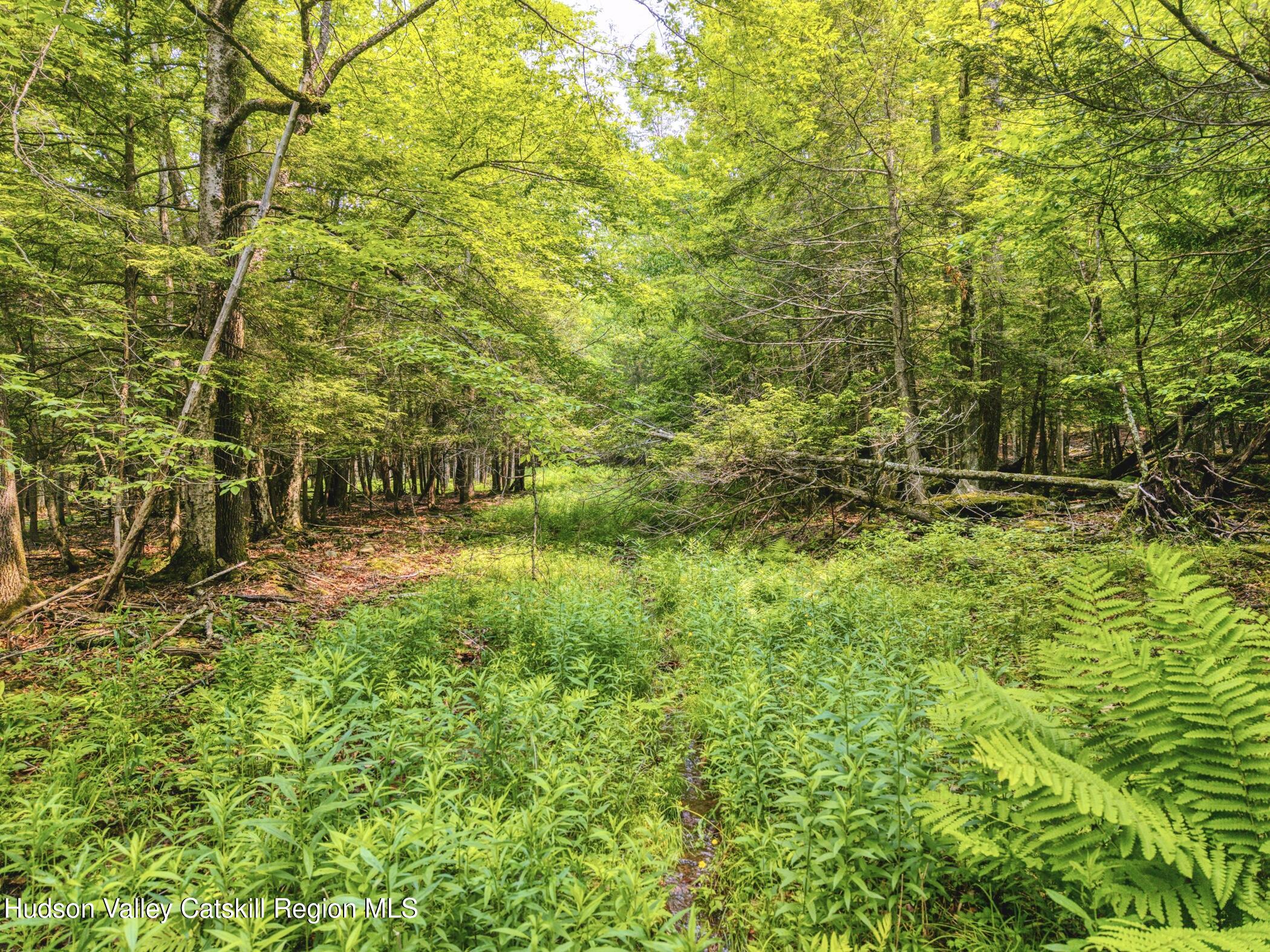 Tbd Boulder Brook Road Windham, NY 12496 - Photo 73 of 78 a view of outdoor space