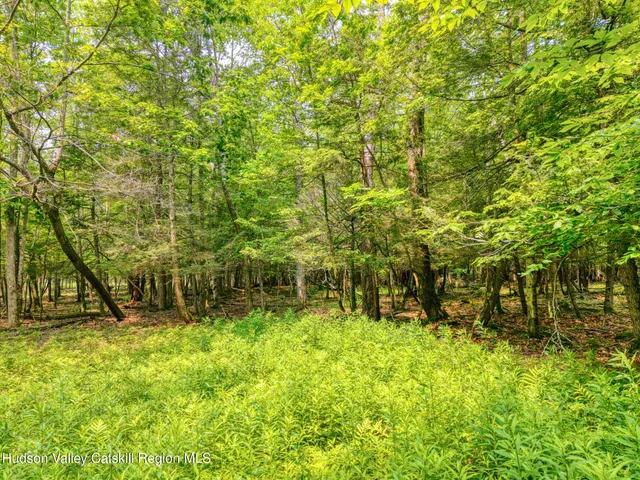 $899,900 | Tbd Boulder Brook Road, Windham, NY 12496