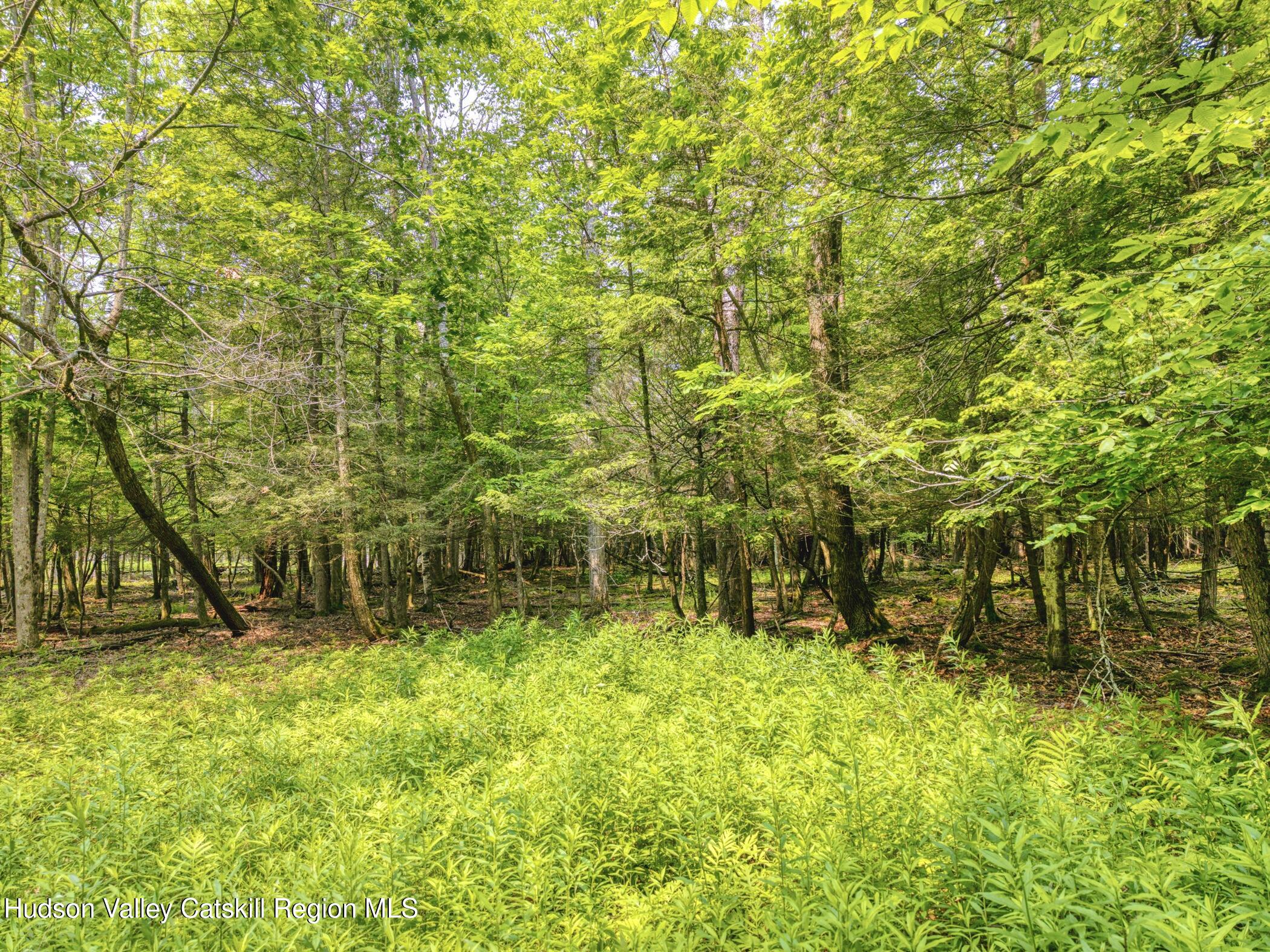 Tbd Boulder Brook Road Windham, NY 12496 - Photo 74 of 78 a view of outdoor space and yard