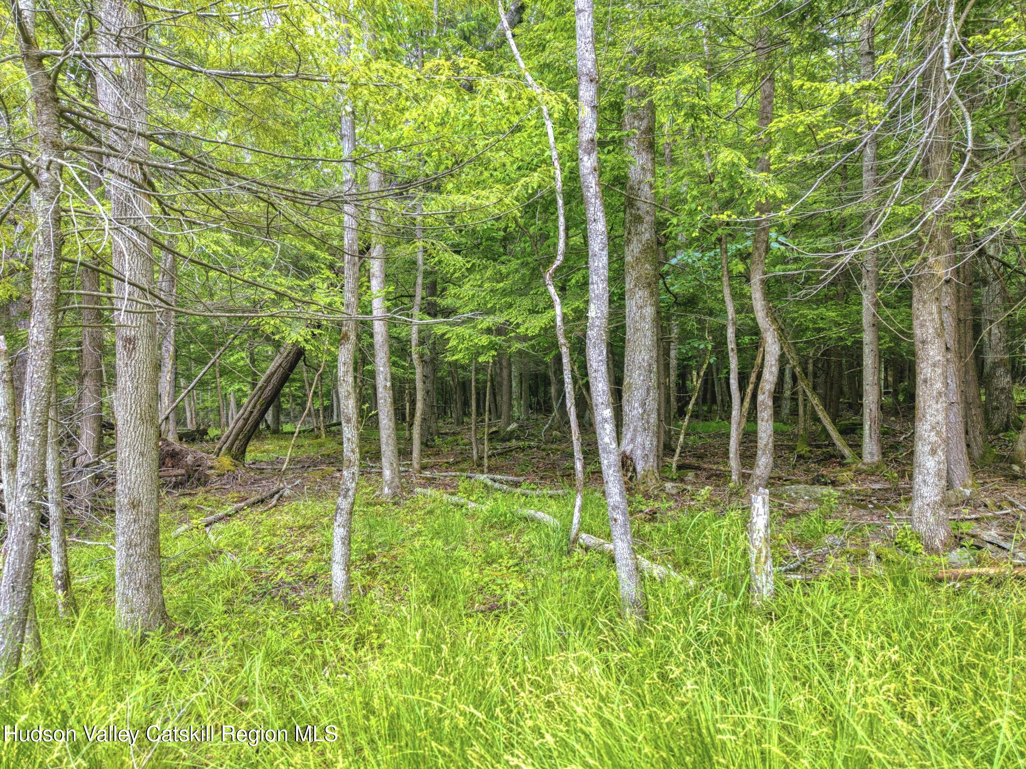 Tbd Boulder Brook Road Windham, NY 12496 - Photo 75 of 78 a house view with a backyard space