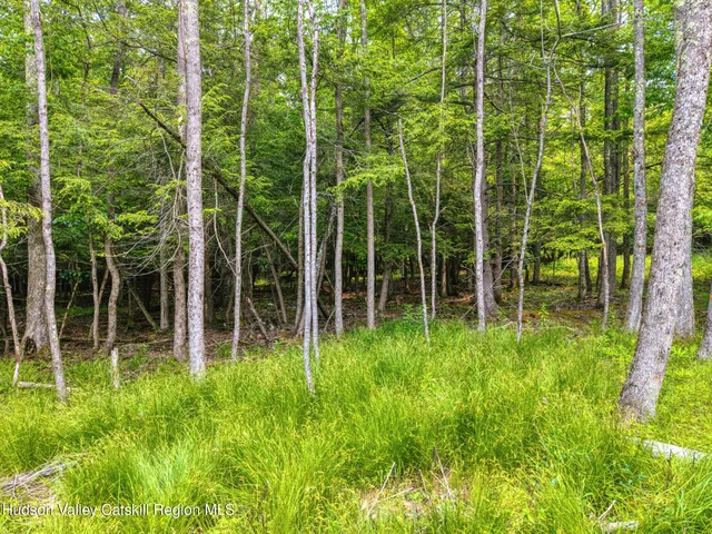 $899,900 | Tbd Boulder Brook Road, Windham, NY 12496